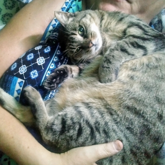 🐓🐿️🐦🦆🐑Meet your Posher, Tawnya🐄🐷🦊🐱🐕🐇🐴 - Picture 13 of 14